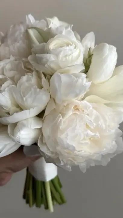 Instagram #0