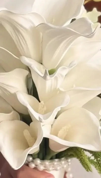 Instagram #1